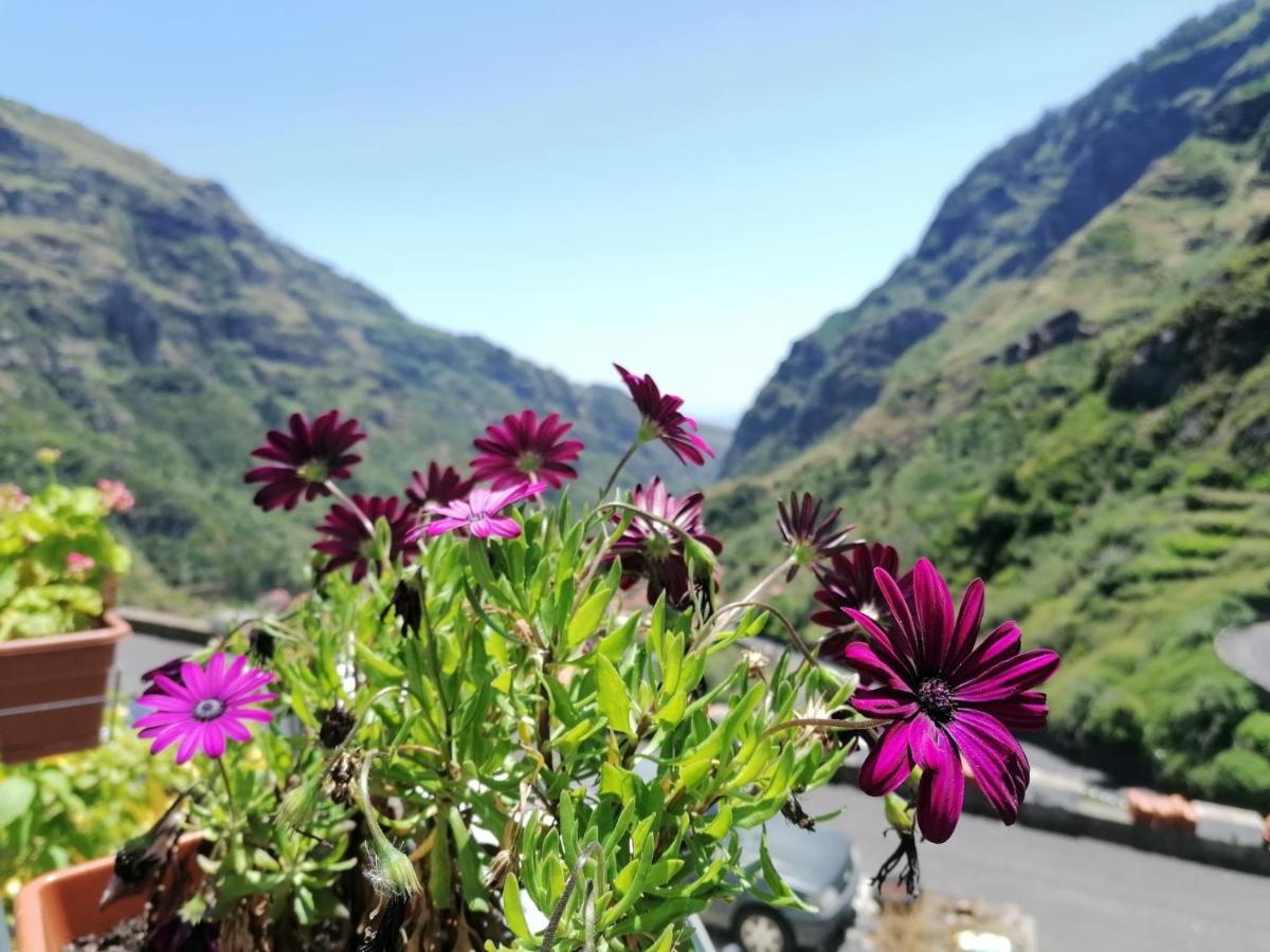Green Valley House Madeira Ribeira Brava Esterno foto